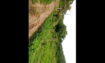 Imagem 6: Vende-se Fazendinha ou troca por casa em BH