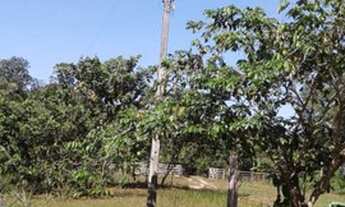 Imagem 7: Excelente área de terras de matas, rica de água