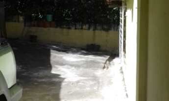 Imagem 4: Casa à venda no sana oportunidade área Central