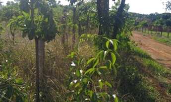 Imagem: Vendo Chácara em Padre Lúcio. - Padre