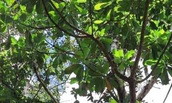 Imagem 7: TERRENO RESIDENCIAL em CAMAÇARI - BA, AREMBEPE (ABRANTES