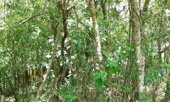 Imagem 3: Nova Lima - Loteamento/Condomínio - Pasárgada