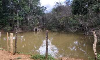 Imagem 4: Fazenda 8 alqueires - Itaberaí - Goiás formada