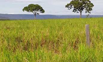 Imagem 6: Venda Fazenda Região Nova Mutum- 74.3000.000m² - Geo - Car - Nova Mutum/Sta Rita Trivelato