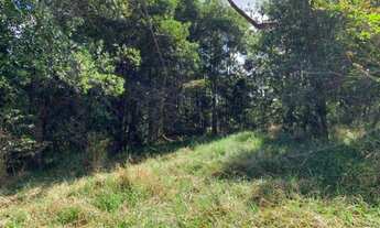 Imagem 4: Chácara para venda com 10.000 metros2,casa nova com 2quartos rica em água a 4 kms de Bela