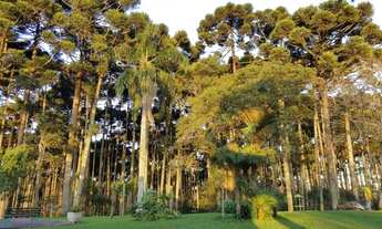 Imagem 3: Terreno com 1846,80m² em Piraquara - Condomínio Residencial Betaville