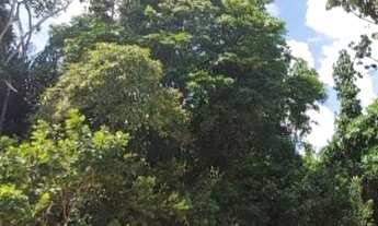 Imagem 4: TERRENO RESIDENCIAL em CAMAÇARI - BA, AREMBEPE (ABRANTES