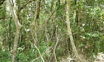 Imagem 4: Nova Lima - Loteamento/Condomínio - Pasárgada