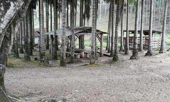 Imagem 6: SITIO RESIDENCIAL em JARAGUÁ DO SUL - SC, TRÊS RIOS DO NORTE