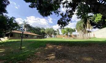 Imagem 3: Chacara no Eliforte a venda - asfaltado