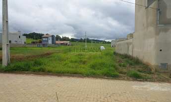 Imagem 3: BORDA DA MATA - Terreno Padrão - Santa Terezinha