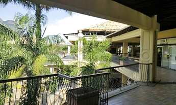 Imagem 6: SALAORIO DE JANEIRO