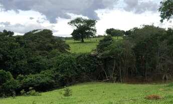 Imagem 3: Fazenda 8 alqueires - Itaberaí - Goiás formada