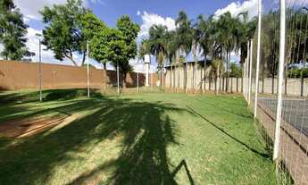 Imagem 7: Chacara no Eliforte a venda - asfaltado