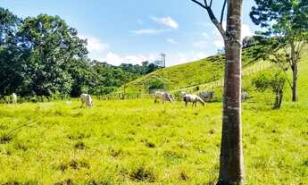 Imagem 7: Ubaitaba - Fazenda - Zona Rural de Ubaitaba