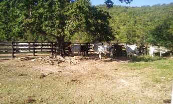 Imagem 6: Fazenda para venda possui 59 alq. munícipio de Fazenda Nova/GO