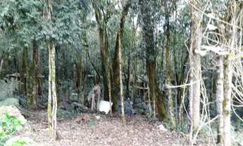 Imagem 2: Excelente Chácara em Condomínio Fechado