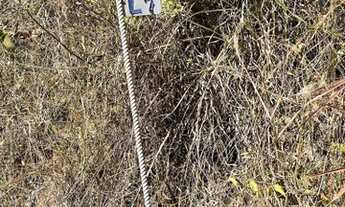 Imagem 5: RIO ACIMA - Terreno Padrão - Estrada Rio de Peixe