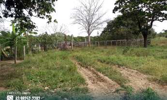 Imagem 4: Fazenda com dupla aptidão na região de Goianorte - TO