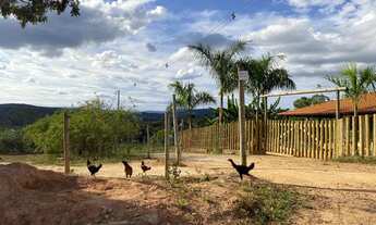 Imagem 3: Chácara 5000 m2 em Conceição do Pará - MG