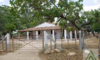 Imagem 4: Terreno para Venda em São Gonçalo do Amarante, Rural