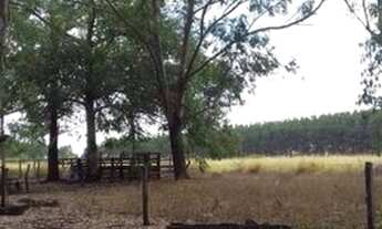 Imagem 3: Fazenda para Venda em Niquelândia, Rural, 3 dormitórios, 2 banheiros, 5 vagas
