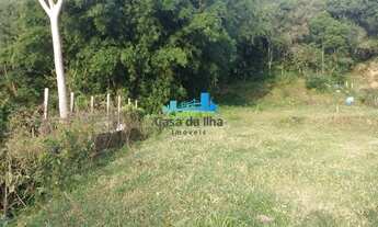 Imagem: Florianópolis - Terreno Padrão - Jurerê