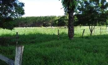 Imagem 7: Fazenda mirassol ( mirassol do oeste