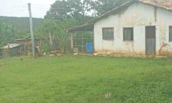 Imagem: FAZENDA DE 11 ALQUEIRES A VENDA LOCALIZADA