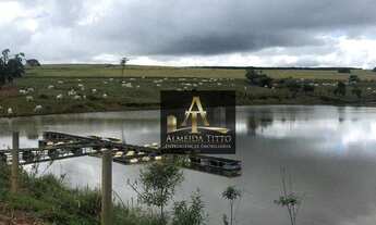 Imagem 2: Excelente Fazenda de Alto Padrão para Venda na Cidade Bela Vista de Goiás - GO - Confira!!