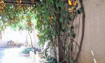 Imagem 5: Casa com 3 quartos - Bairro Vila Rosa em Goiânia