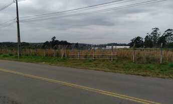 Imagem 5: SãO JOSé DOS PINHAIS - Terreno Padrão - Campo Largo da Roseira