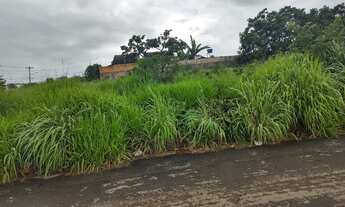 Imagem 5: Vendo Área 1.517 m² - Jardim Alto Paraíso - Ap. de Goiânia