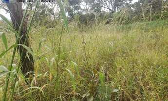 Imagem 7: Lote em Condomínio Fechado para Venda em Brasília, Setor Habitacional Tororó (Jardim Botân