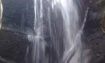 Imagem 4: Sítio para venda com 8 Alqueires e sede com 5 quartos