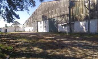 Imagem 2: Galpão/Depósito/Armazém para aluguel com 4000 metros quadrados em Thomaz Coelho - Araucári