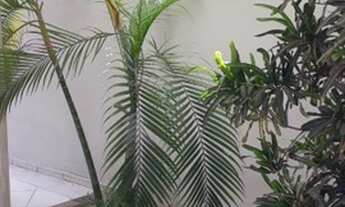 Imagem 2: Casa com 3 dormitórios à venda, 200 m² por R$ 350.000,00 - Kaikan Sul - Teixeira de Freita