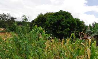 Imagem 3: Lote de Esquina murado muro alto escorrido para frente com 492,89 metros sendo 17 metros d