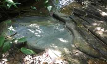Imagem 4: RIO ACIMA - Terreno Padrão - Estrada Rio de Peixe
