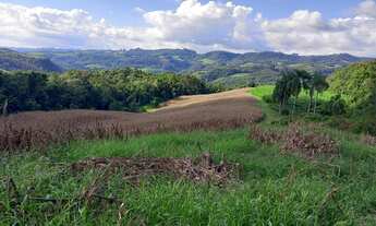 Imagem 2: Lindo terreno com 27 hectares