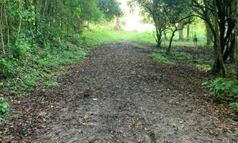 Imagem 6: Fazenda/Sítio/Chácara para venda com 80000 metros quadrados com 1 quarto