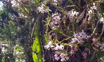 Imagem 5: Casa de 3 suítes, com vista para a mata, em condomínio fechado, terreno de 2.635m2