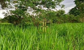 Imagem 7: Fazenda 254 Alqueires Mundo Novo, GO