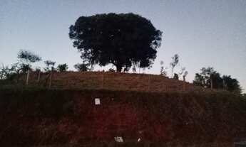 Imagem 6: Sítio em Sorocaba de dentro aceito imóvel em Tijucas