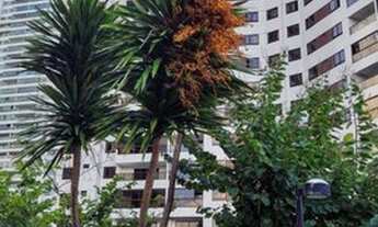 Imagem 3: João Pessoa - Apartamento Padrão - Altiplano Cabo Branco