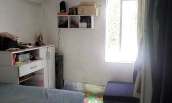 Imagem 7: FLORIANóPOLIS - Padrão - Carvoeira