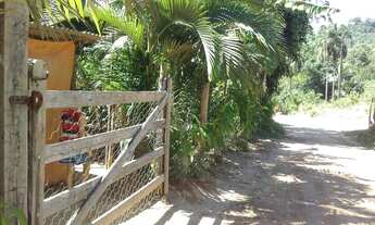 Imagem 3: Linda chácara em vargem alta