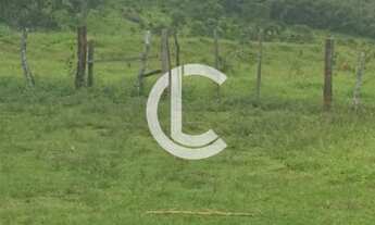 Imagem 4: FAZENDA DE 11 ALQUEIRES A VENDA LOCALIZADA NO MUNICÍPIO DE PIRENÓPOLIS