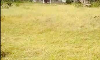 Imagem 4: Vendo terreno beira mar de lucena