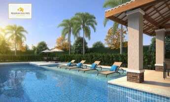 Imagem 2: Reserva dos Ipês